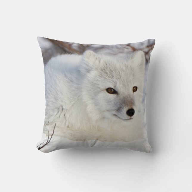 Cojín Decorativo Fox ártica en invierno (Anverso)