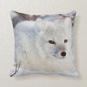 Cojín Decorativo Fox ártica en invierno