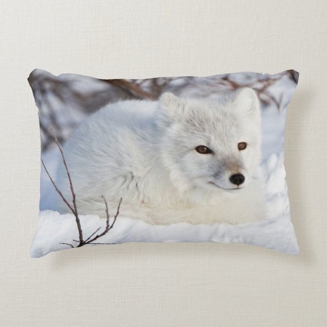 Cojín Decorativo Fox ártica en invierno (Anverso)