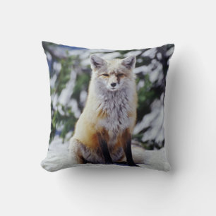 Cojín Decorativo Fox roja sentada en la orilla de la nieve, Vulpes,