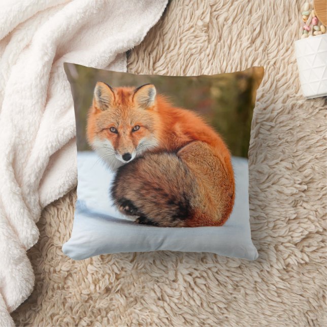 Cojín Decorativo Fox Rojo En Nieve | Yukón (Manta)