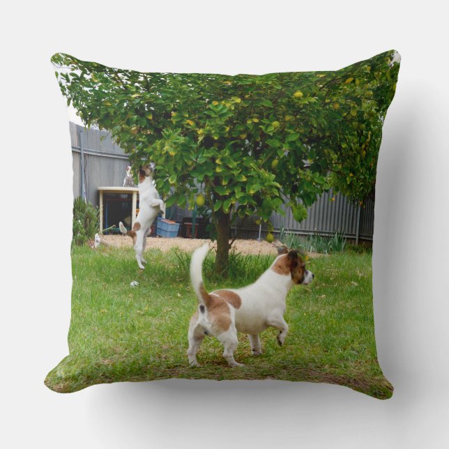 Cojín Decorativo Fox Terrier Saltando A Un Árbol, (Anverso)