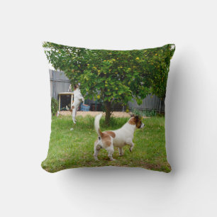 Cojín Decorativo Fox Terrier saltando a un árbol,