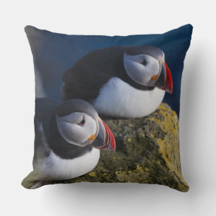Cojín Decorativo Frailecillo atlántico (Fratercula arctica) 7
