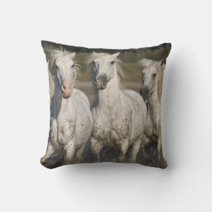 Cojín Decorativo Francia, Camargue. Caballos corren