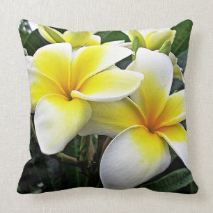 Cojín Decorativo Frangipani