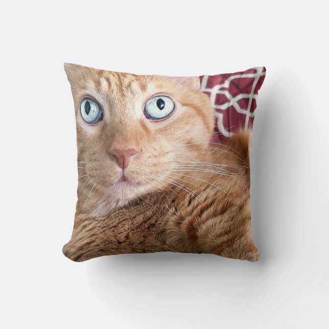 Cojín Decorativo Frankie (Anverso)