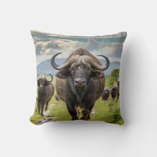 Cojín Decorativo ¡Fresa Bufalo Almohada!