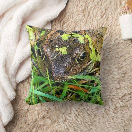 COJÍN DECORATIVO FROG