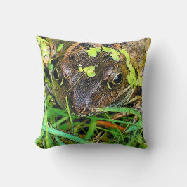 COJÍN DECORATIVO FROG