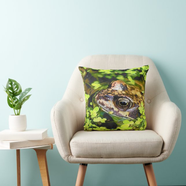 COJÍN DECORATIVO FROG (Silla)