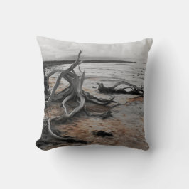 Cojín Decorativo Fuerzas Naturales del Lago Tyrrell