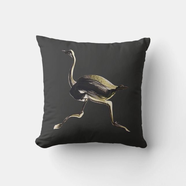 Cojín Decorativo Funcionamiento de la avestruz (Anverso)