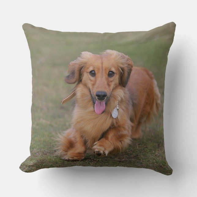 Cojín Decorativo Funcionamiento del Dachshund de Miniture (Anverso)