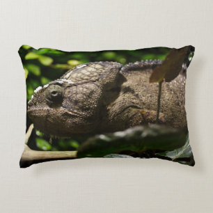 Cojín Decorativo Furcifer oustaleti