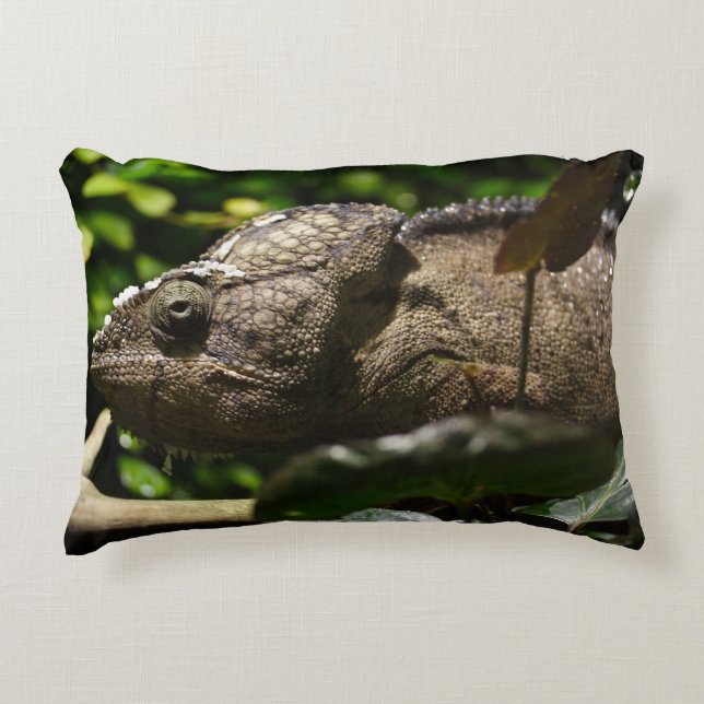Cojín Decorativo Furcifer oustaleti (Anverso)