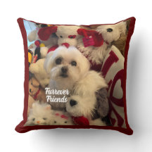 Furrever Friends Decor Mascota Pillow