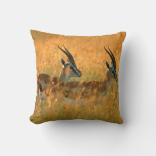 Cojín Decorativo Gacela de Thomson (Gazella Thomsonii) al amanecer