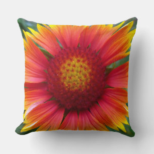 Cojín Decorativo Gaillardia