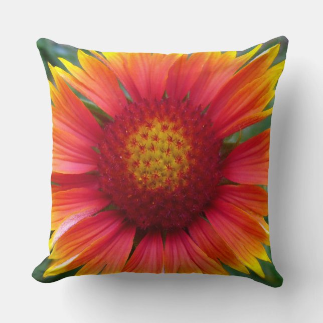 Cojín Decorativo Gaillardia (Anverso)