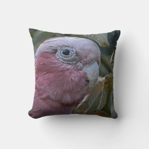 Cojín Decorativo Galah o Cacatúa de pecho rosado