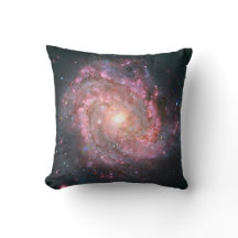 Galaxia del Molinete del Sur