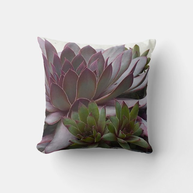 Cojín Decorativo Gallinas (Anverso)