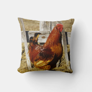 Cojín Decorativo Gallo rojo de Rhode Island
