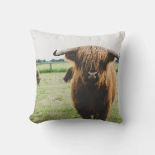COJÍN DECORATIVO GANADO DE HIGHLAND EN EL CAMPO DURANTE EL DÍA