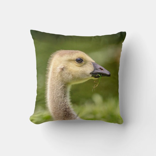Cojín Decorativo Ganso Canadiense (Gosling) (Anverso)