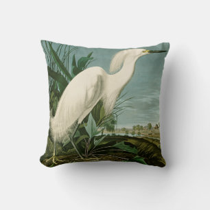 Cojín Decorativo Garza Blanca de Audubon Ave Birding