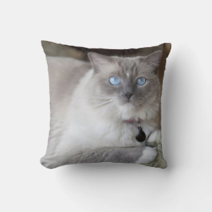 Cojín Decorativo Gata Ragdoll hembra