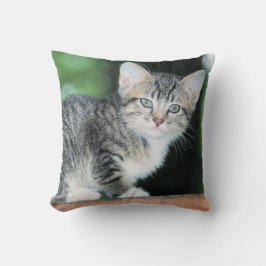 Cojín Decorativo Gatito