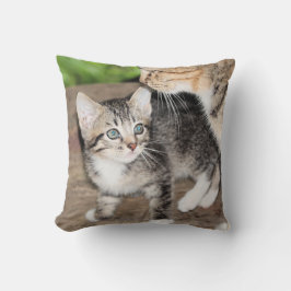Cojín Decorativo Gatito