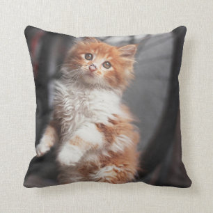 Cojín Decorativo Gatito anaranjado del Tabby