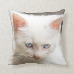 Cojín Decorativo Gatito blanco