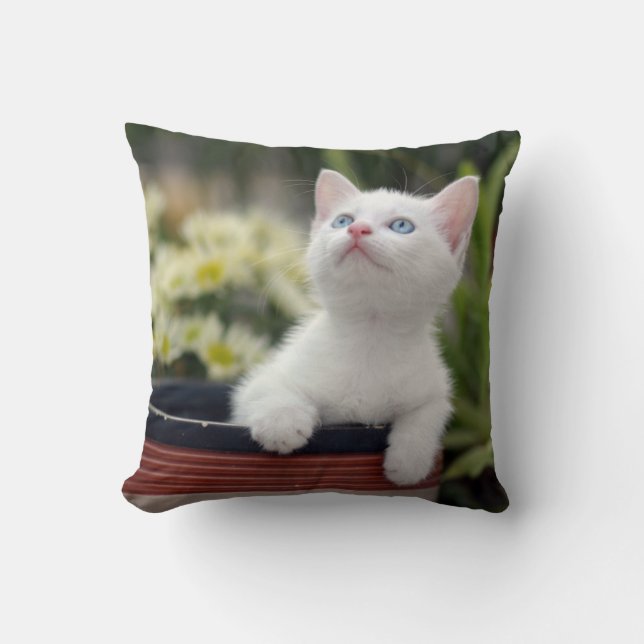 Cojín Decorativo Gatito blanco turco (Anverso)
