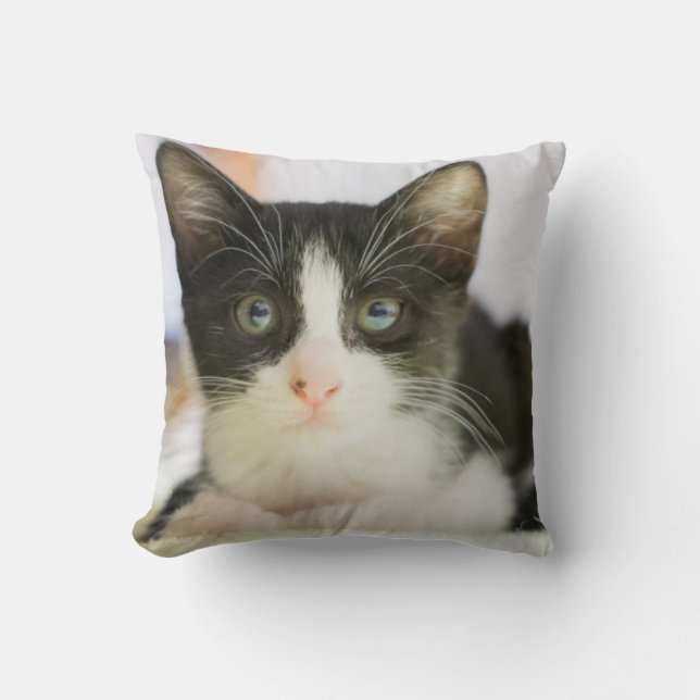 Cojín Decorativo Gatito blanco y negro dulce (Anverso)