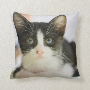Cojín Decorativo Gatito blanco y negro dulce