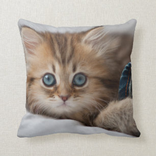 Cojín Decorativo Gatito con los ojos azules