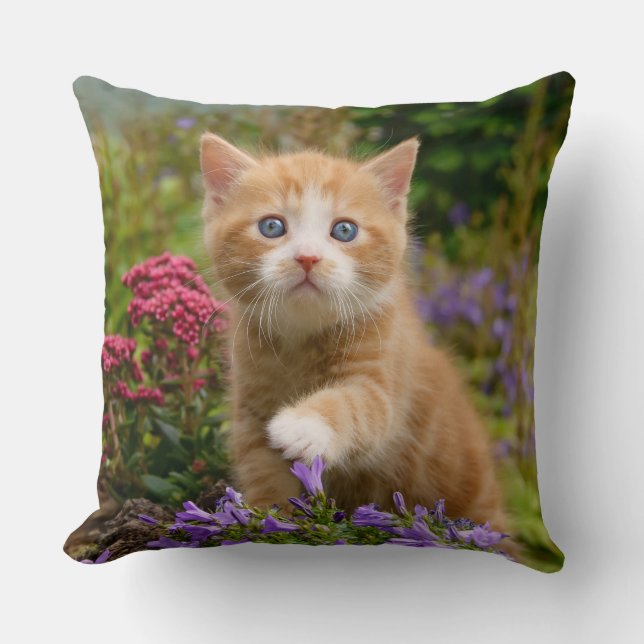 Cojín Decorativo Gatito de jengibre en el jardín (Anverso)