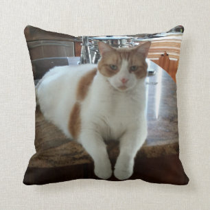 Cojín Decorativo Gatito de Rambo