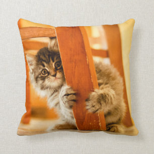 Cojín Decorativo Gatito debajo de la silla