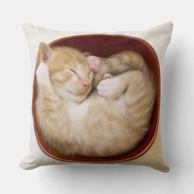 Cojín Decorativo Gatito el dormir (Anverso)