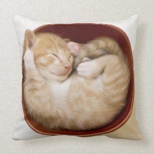 Cojín Decorativo Gatito el dormir