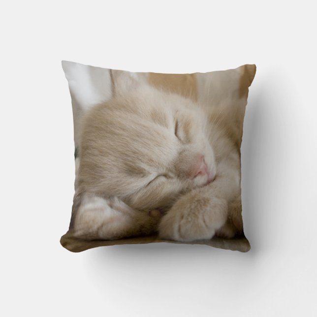 Cojín Decorativo Gatito el dormir (Anverso)