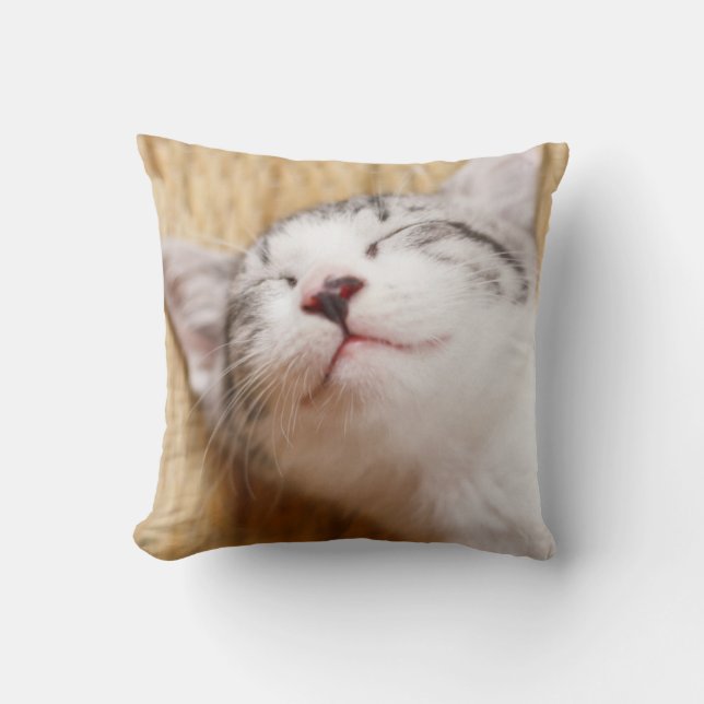 Cojín Decorativo Gatito el dormir (Anverso)