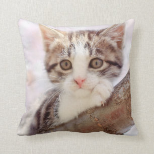 Cojín Decorativo Gatito en un árbol