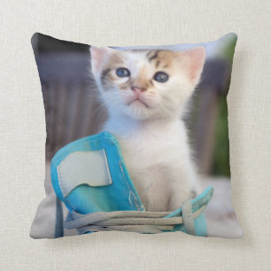 Cojín Decorativo Gatito en un zapato