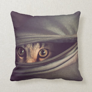 Cojín Decorativo Gatito joven del Tabby